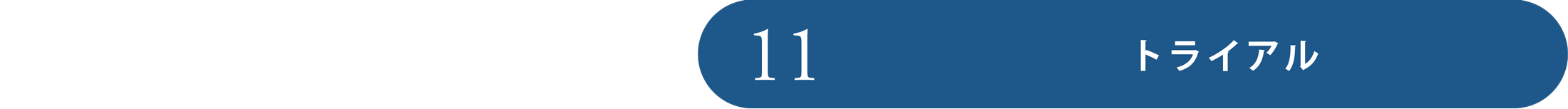 step11
