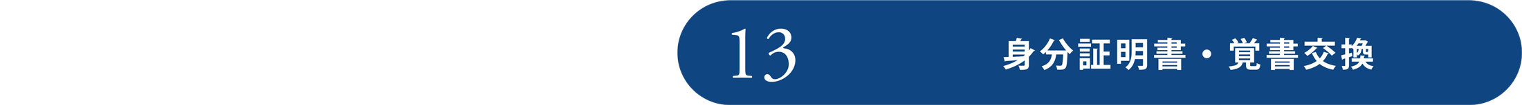 step13