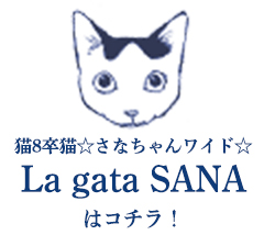 「La gata SANA」　秋本尚美
